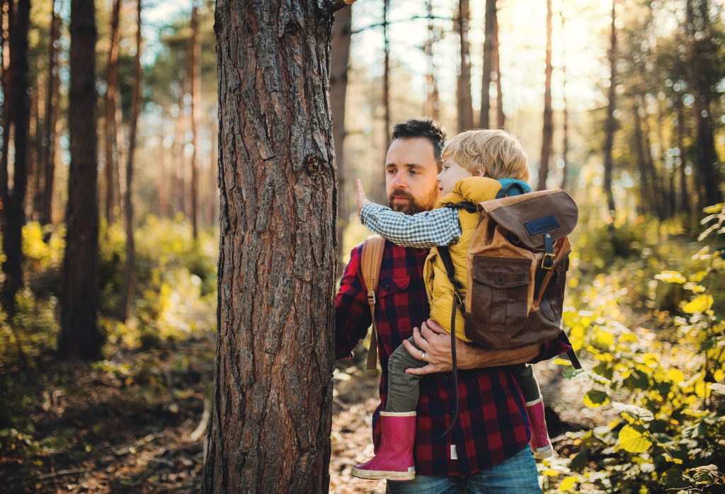 Vater zeigt seinem Kind klimafreundliche Waldwirtschaft im Schwarzwald